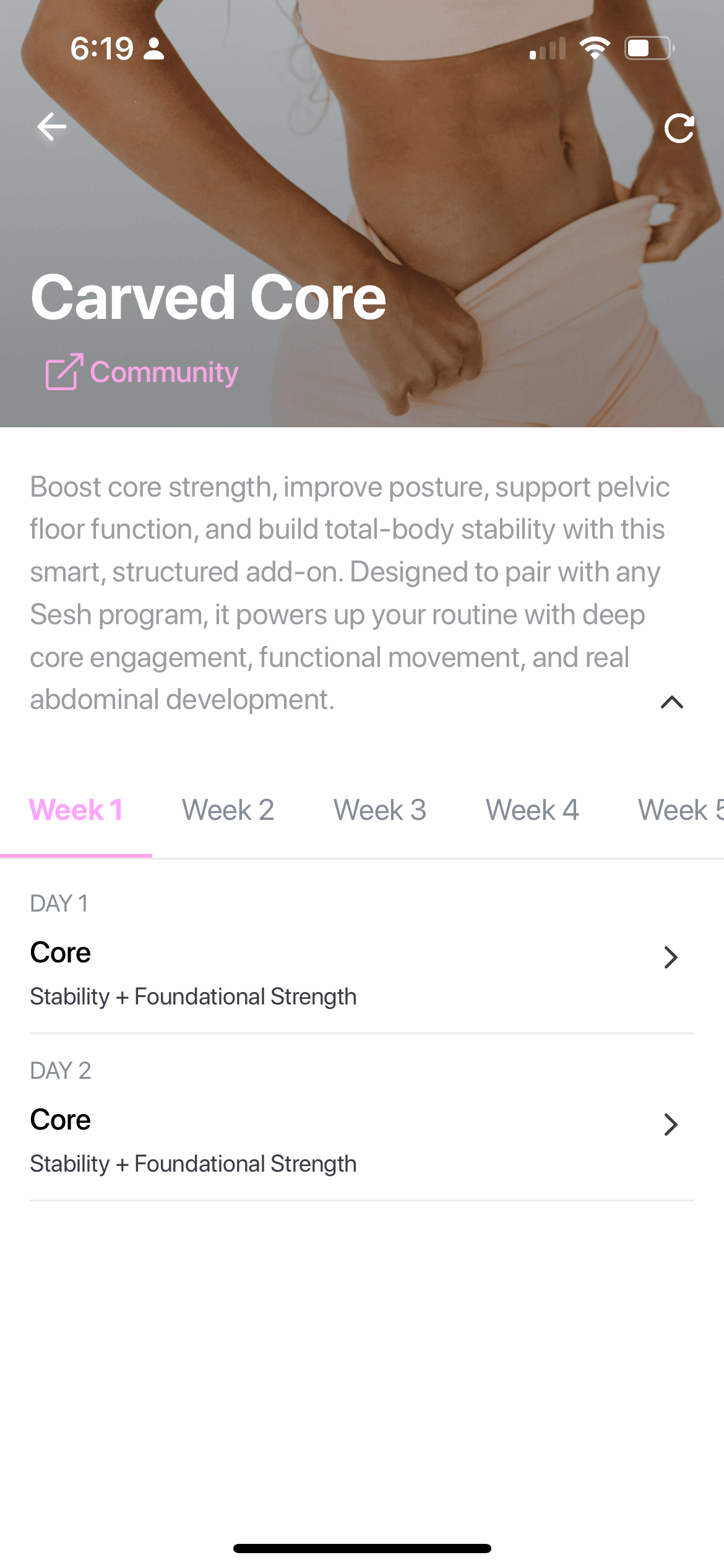Professional programming, anywhere