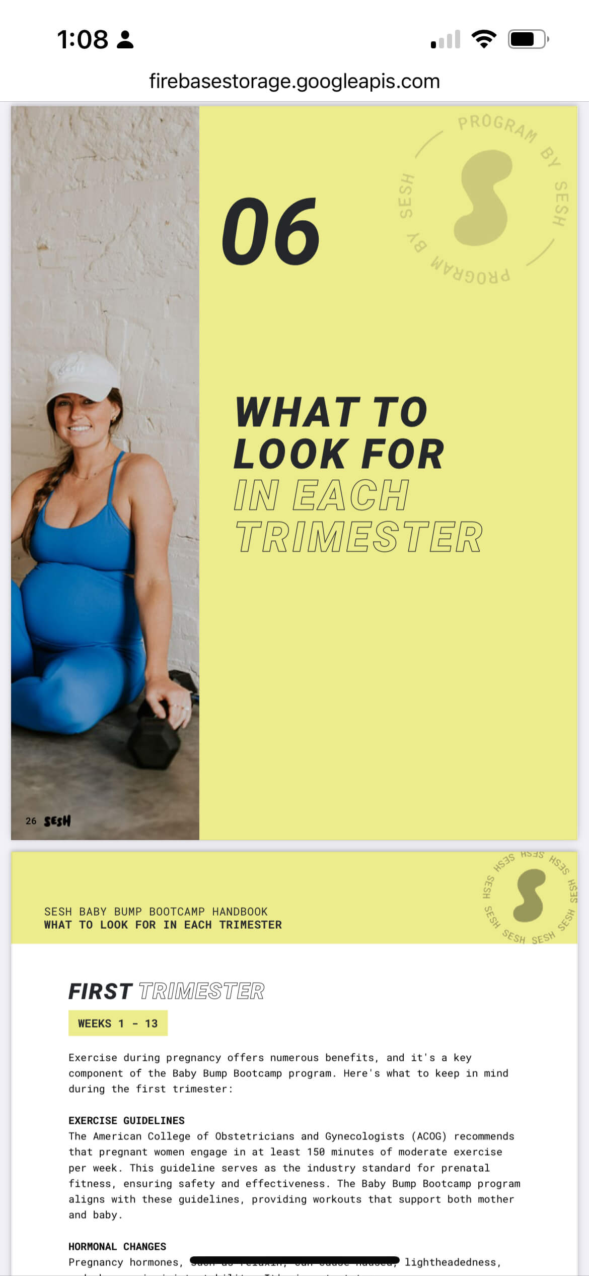 Pregnancy + Fitness Handbook