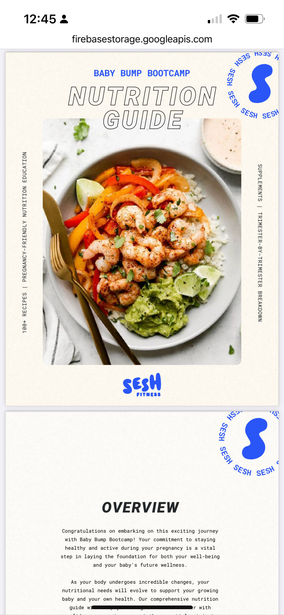 100+ Pregnancy-Safe Recipes