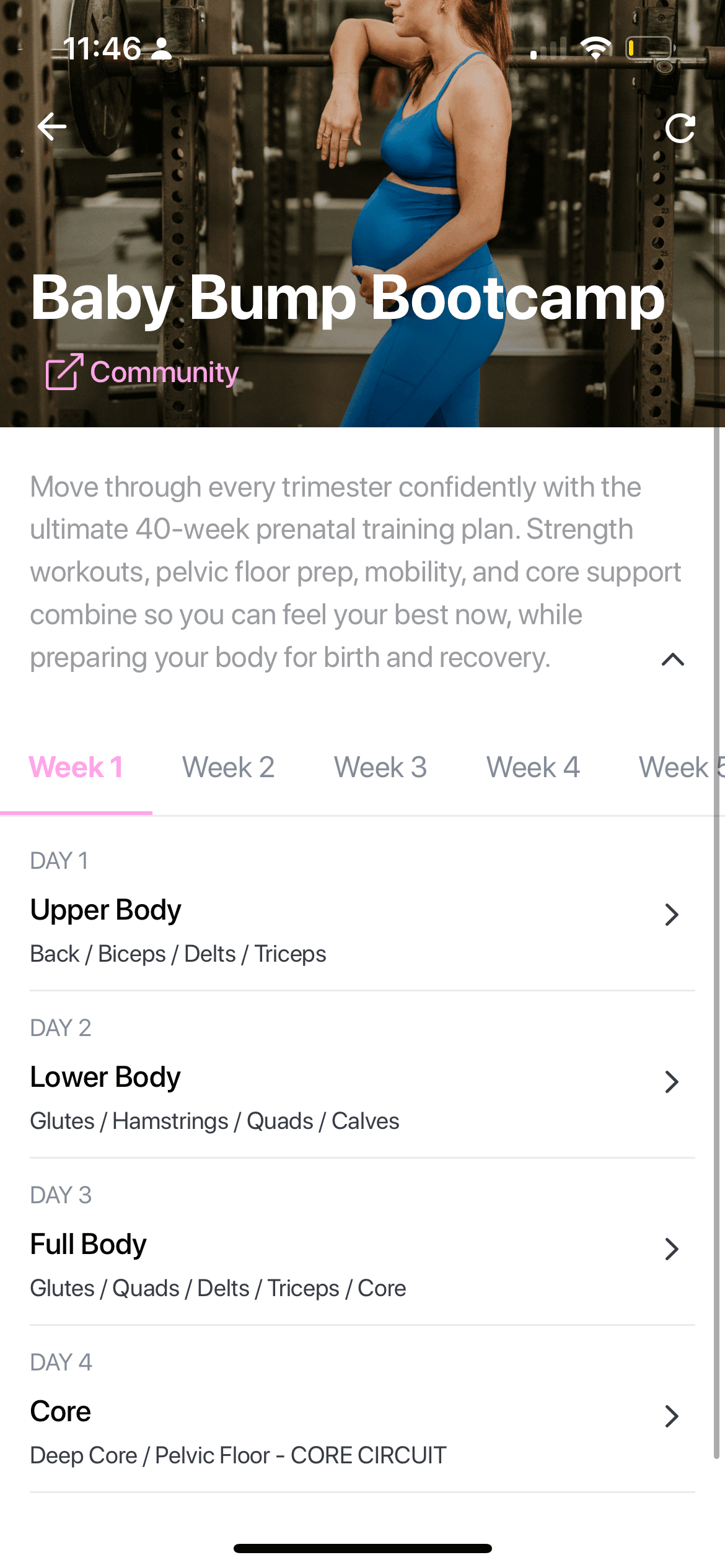 Expert programming, anywhere