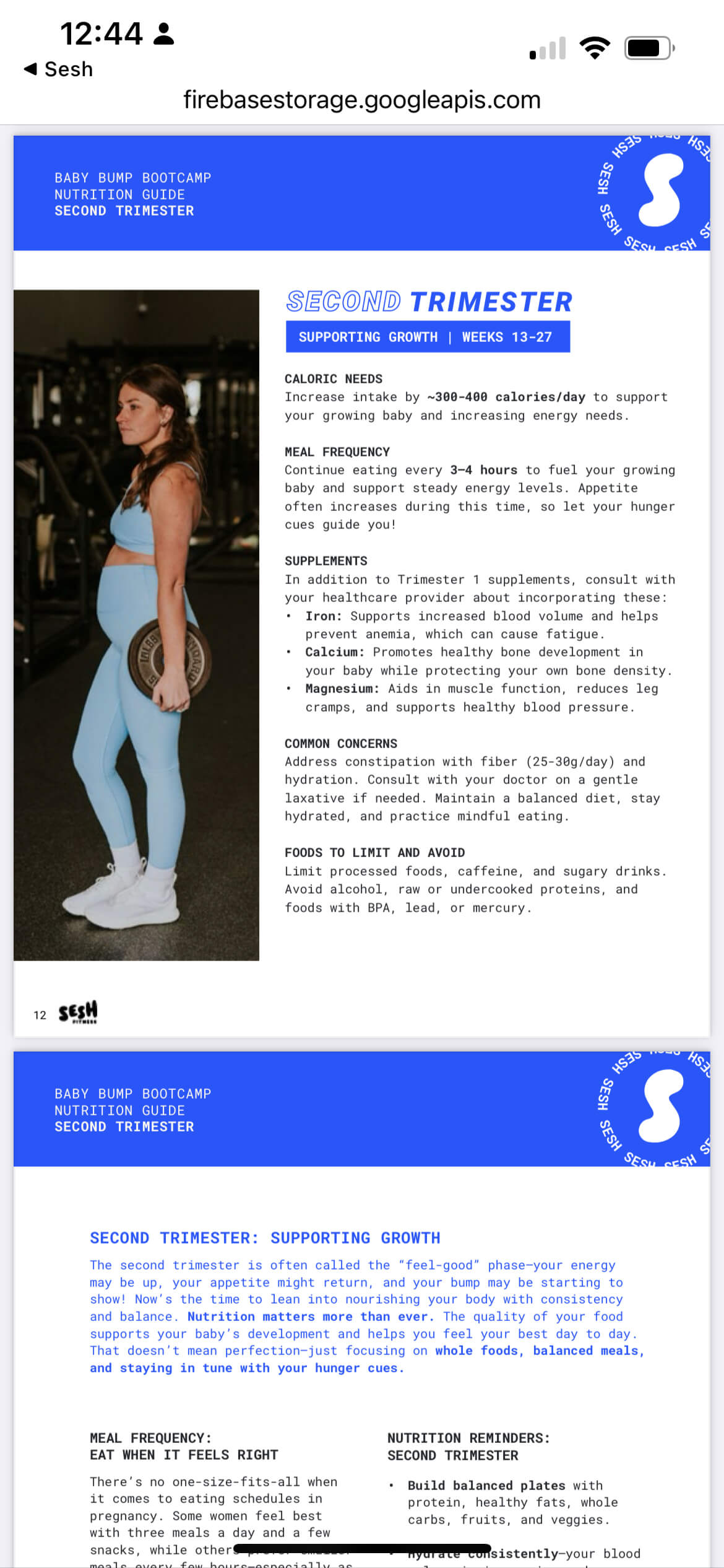 Pregnancy Nutrition Guide